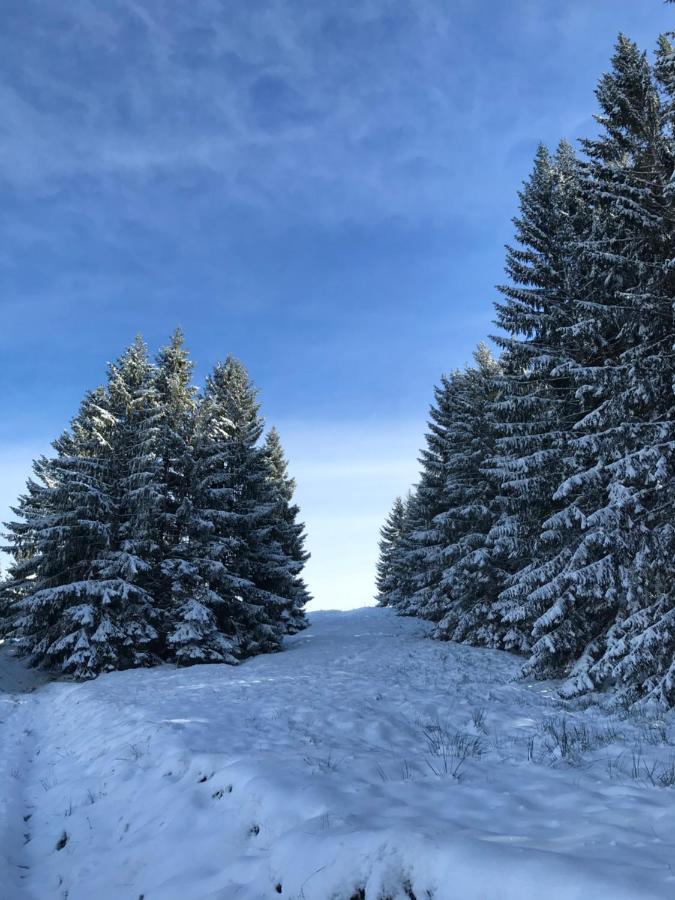 Kleine Ferienwohnung Am Rande Der Wildnis Sibratsgfäll Extérieur photo