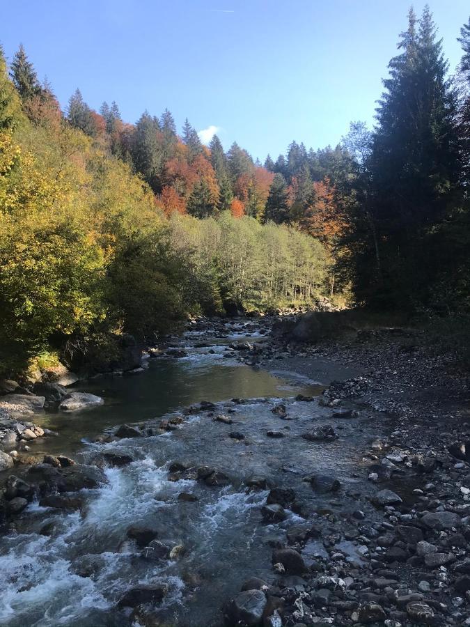 Kleine Ferienwohnung Am Rande Der Wildnis Sibratsgfäll Extérieur photo