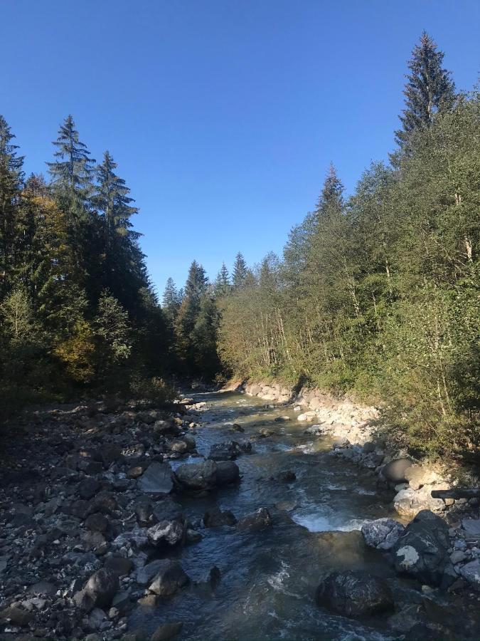 Kleine Ferienwohnung Am Rande Der Wildnis Sibratsgfäll Extérieur photo